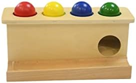 Montessori Toddlers Wooden Push Ball Toy for Learning