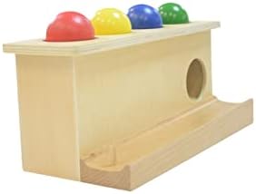 Montessori Toddlers Wooden Push Ball Toy for Learning