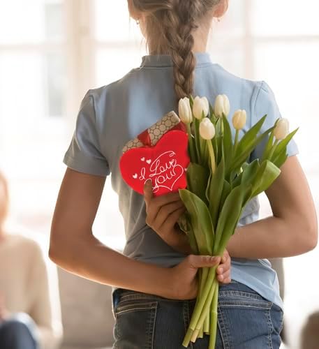 DolliBu I Love You Red Heart Plush Toy 1