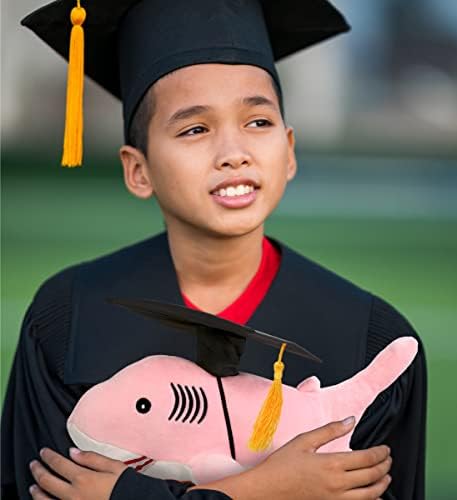 DolliBu Pink Shark Graduation Plush Toy 12 Inches