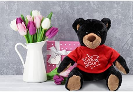 DolliBu I Love You Valentine Plush Black Bear