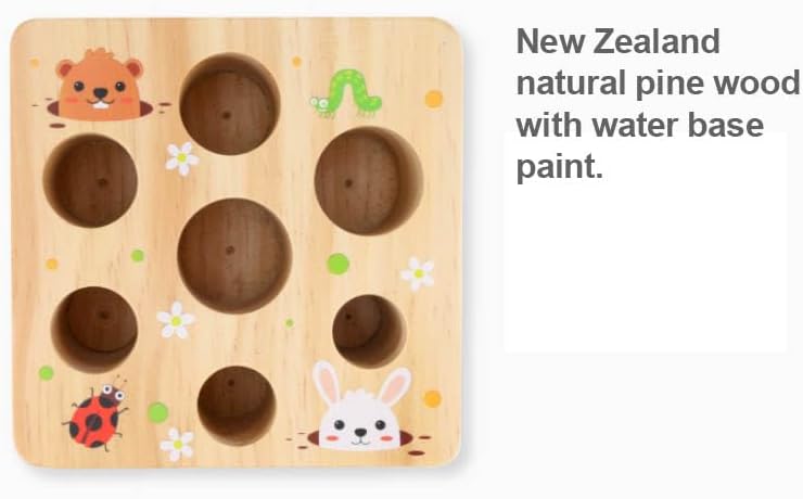 Ancaixin Wooden Montessori Carrot Harvest Toy