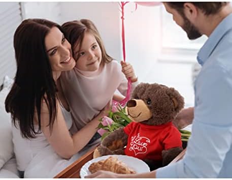 DolliBu Brown Bear Plush with Red Shirt
