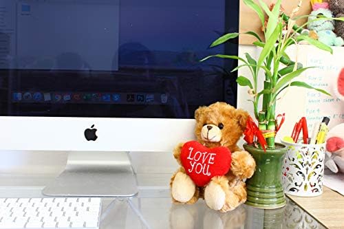 Plushland Stuffed Mocha Heart Bear - 9 Inch Plush Toy