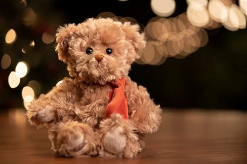 Bukowski Bears Clever Anton 10-Inch Teddy Bear