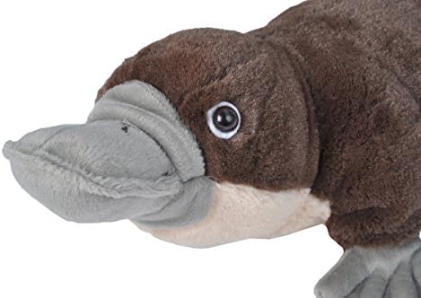 Wild Republic Platypus Plush 12 Inches Cuddlekins