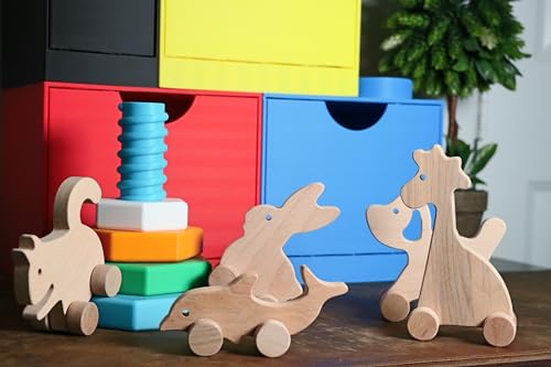 Personalized Wooden Rabbit Push Toy Handmade Baby Gift