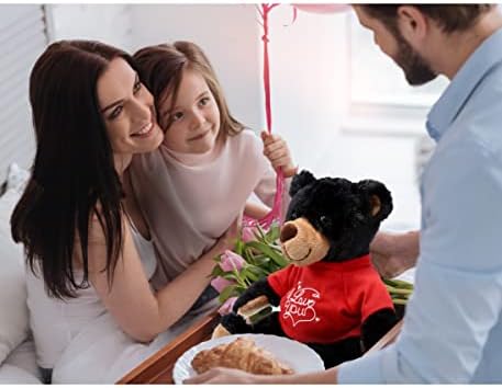 DolliBu I Love You Valentine Plush Black Bear