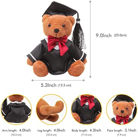 AULUDA Plush Graduation Bear Hug Pillow Toy