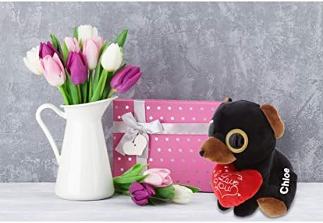 DolliBu Sparkling Big Eye Black Bear Plush with Red Heart and Personalization
