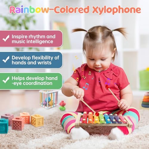 6 in 1 Montessori Baby Toy Set for 1 Year Old