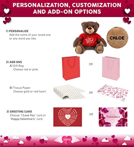 DolliBu Brown Bear Plush with Red Shirt
