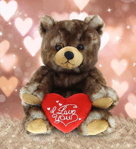 DolliBu I Love You Valentine Plush Grizzly Bear