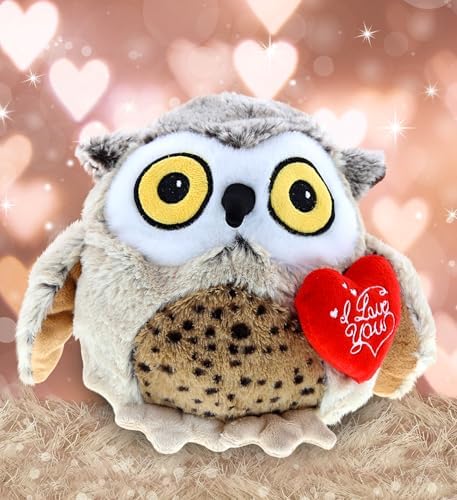 DolliBu Fat Brown Owl Plush with Heart