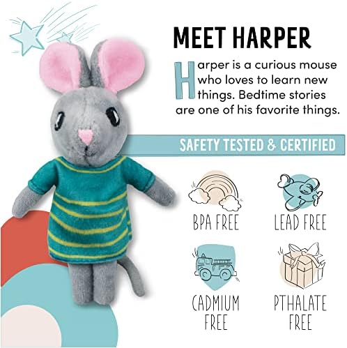 Harper the Field Mouse Match Box Playset 1
