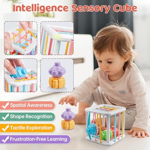 6 in 1 Montessori Baby Toy Set for 1 Year Old
