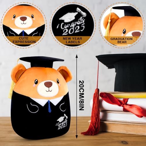 Grad 2025 Bear Plush Pillow Stuffed Animal