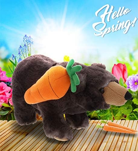 DolliBu Happy Easter Soft Plush Black Bear with Carrot