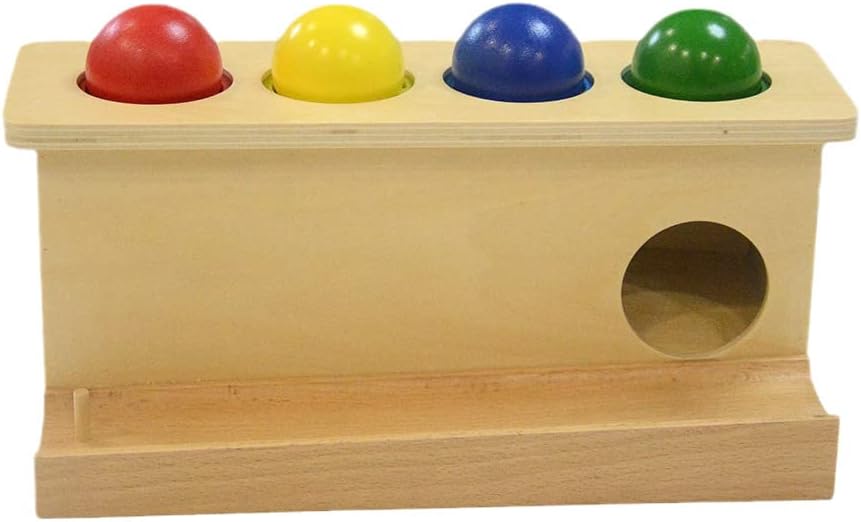 Montessori Toddlers Wooden Push Ball Toy for Learning