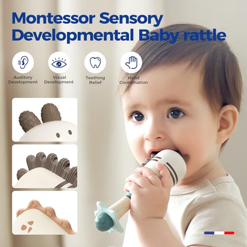Evoceler Dinosaur Rattles 2 Pack Teether Toys for 0M Babies