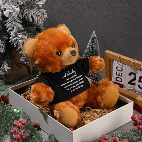 Meooeck Bear Plush Stuffed Animal Sympathy Gift