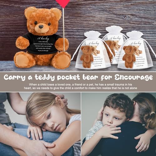 Meooeck Bear Plush Stuffed Animal Sympathy Gift