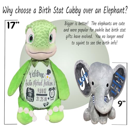 Baby Birth Stats Plush Green Dinosaur