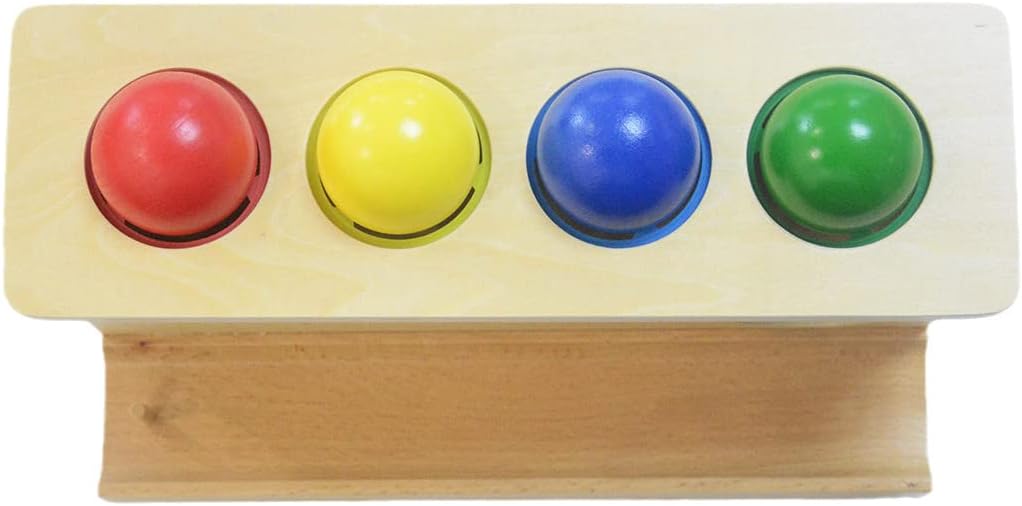 Montessori Toddlers Wooden Push Ball Toy for Learning
