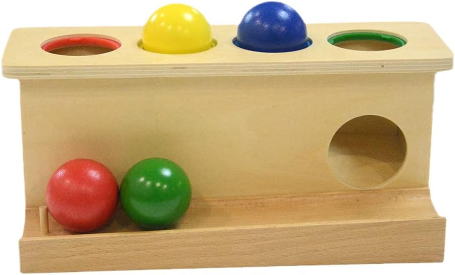 Montessori Toddlers Wooden Push Ball Toy for Learning