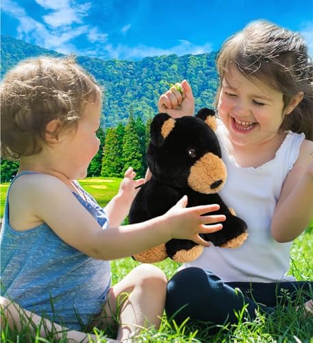 DolliBu Black Bear Plush Toy 9 Inches Soft and Realistic 1