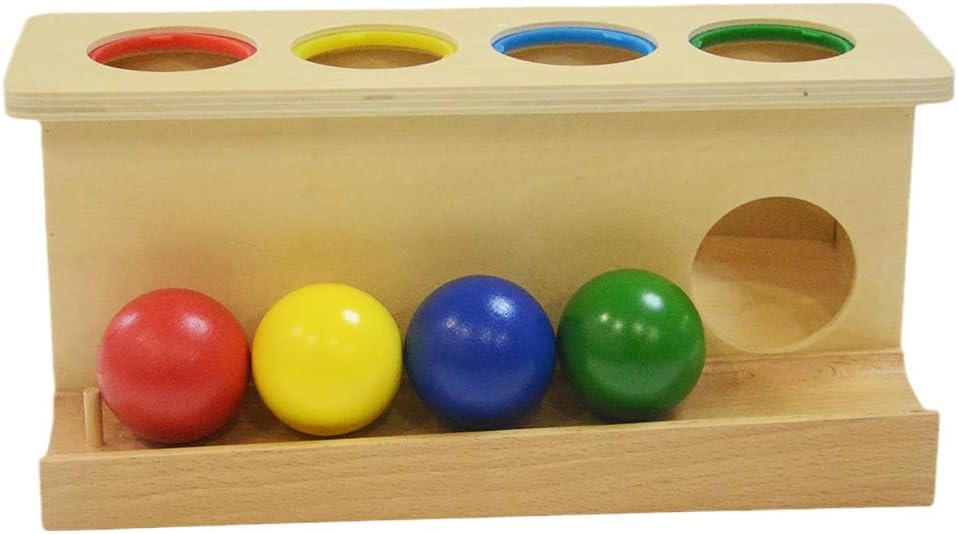Montessori Toddlers Wooden Push Ball Toy for Learning