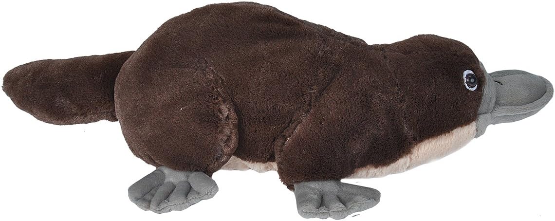 Wild Republic Platypus Plush 12 Inches Cuddlekins