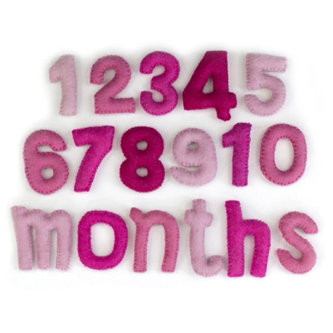Matthew Mae Monthly Milestone Felt Number Set PINK