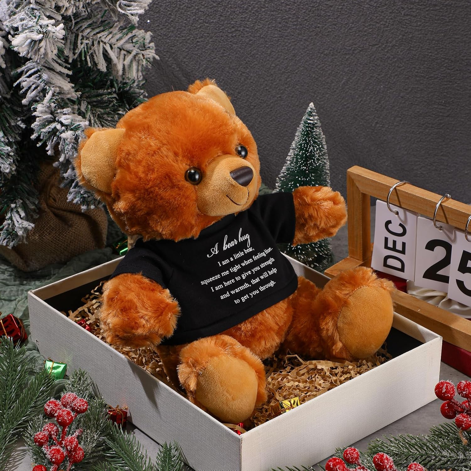 Meooeck Bear Plush Stuffed Animal Sympathy Gift