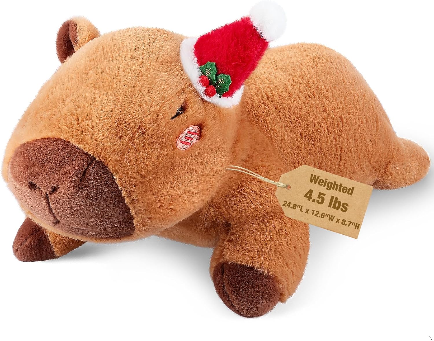 Bobbie Laxi 25 Capybara Weighted Plush Toy