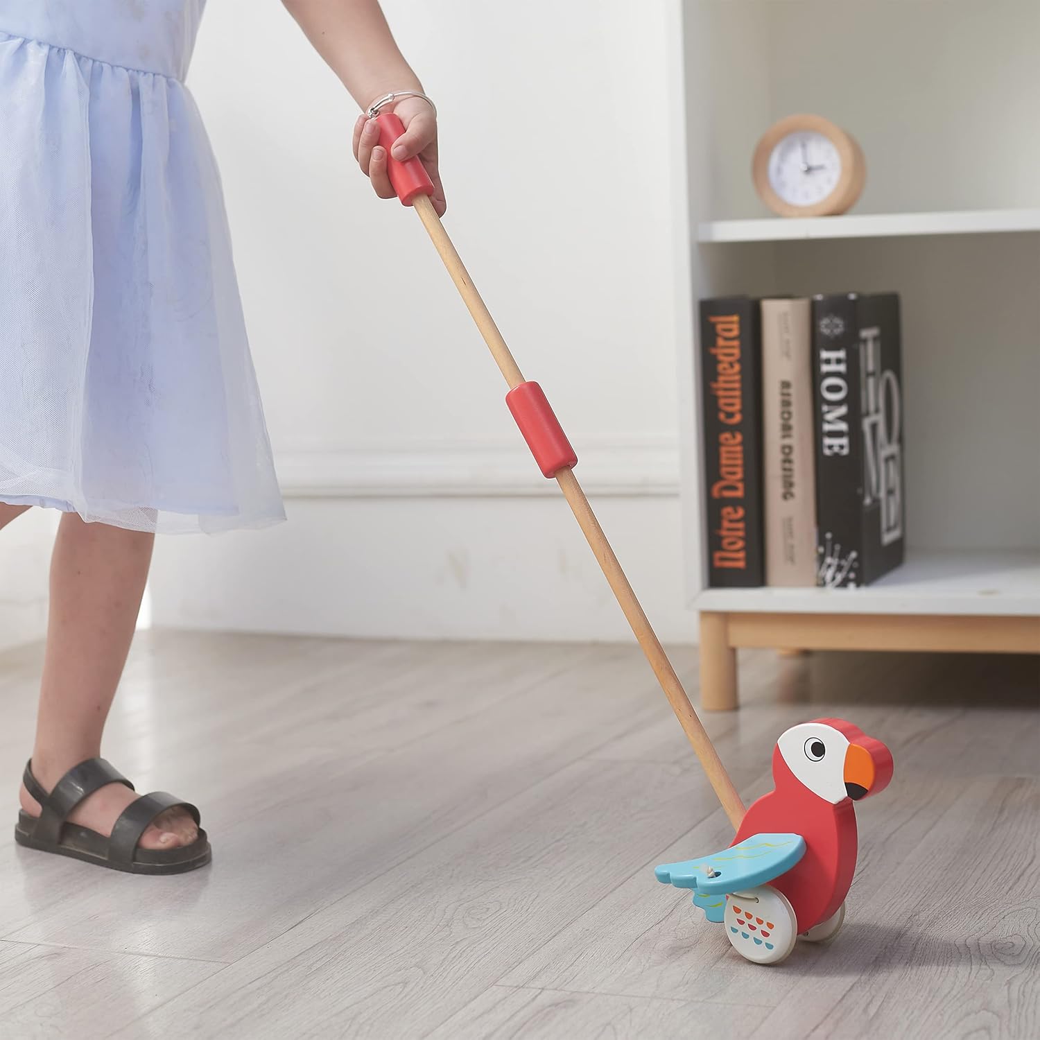 RUYU Parrot Wooden Push Pull Toy for Toddlers